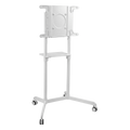 Soporte Móvil para Pantalla / Rotación 0° a 90° / 37" a 70" / VESA 200x200 a 600x400 / Carga 70 kg (154 lbs) / Ruedas con Bloqueo / Blanco
