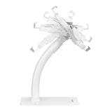 Soporte de Escritorio para Tablet 9.7" - 11", Antirrobo, Blanco 406352 - SILYMX