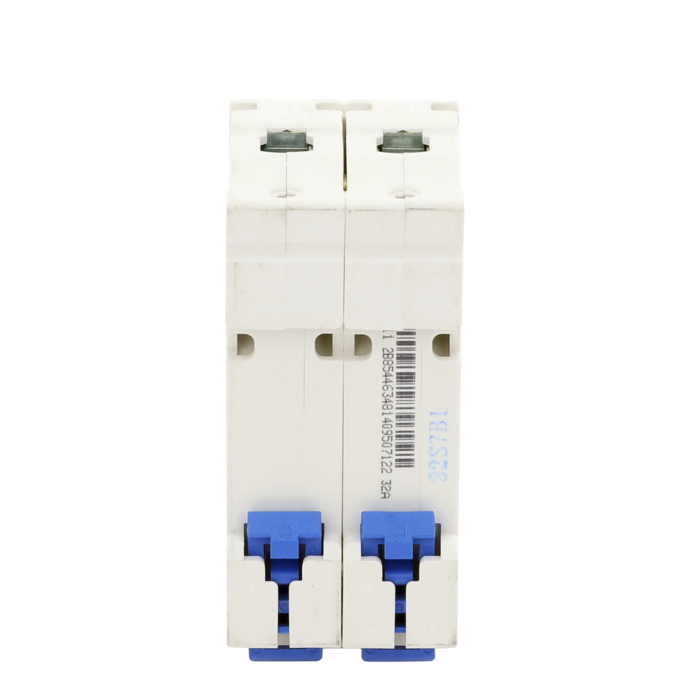 Pastilla CHINT NXB632PC32 – 32A, 2 Polos, 110/415VCA, Protección Térmica y Magnética