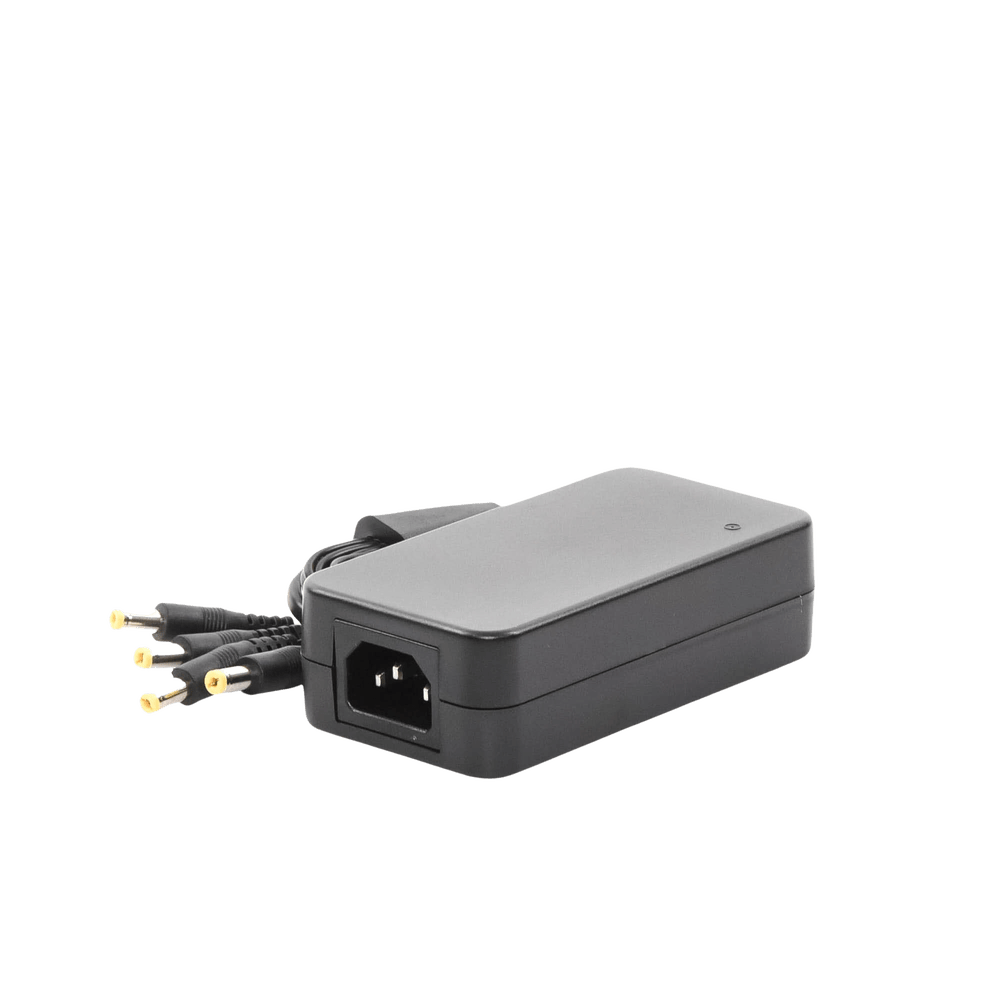Fuente de Alimentación de 4 Salidas tipo Jack Macho de 12 Vcc 5 Amper PLK12DC4CH - SILYMX