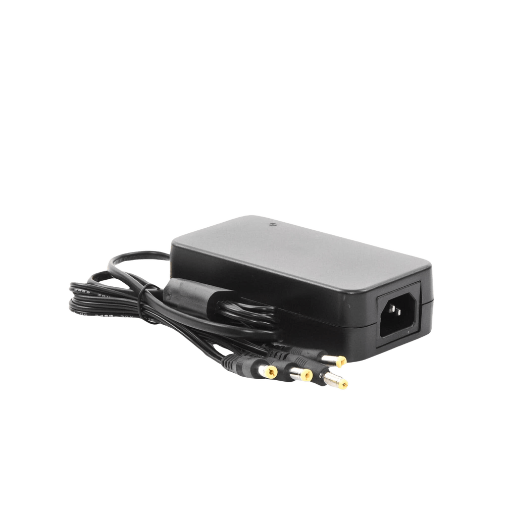 Fuente de Alimentación de 4 Salidas tipo Jack Macho de 12 Vcc 5 Amper PLK12DC4CH - SILYMX