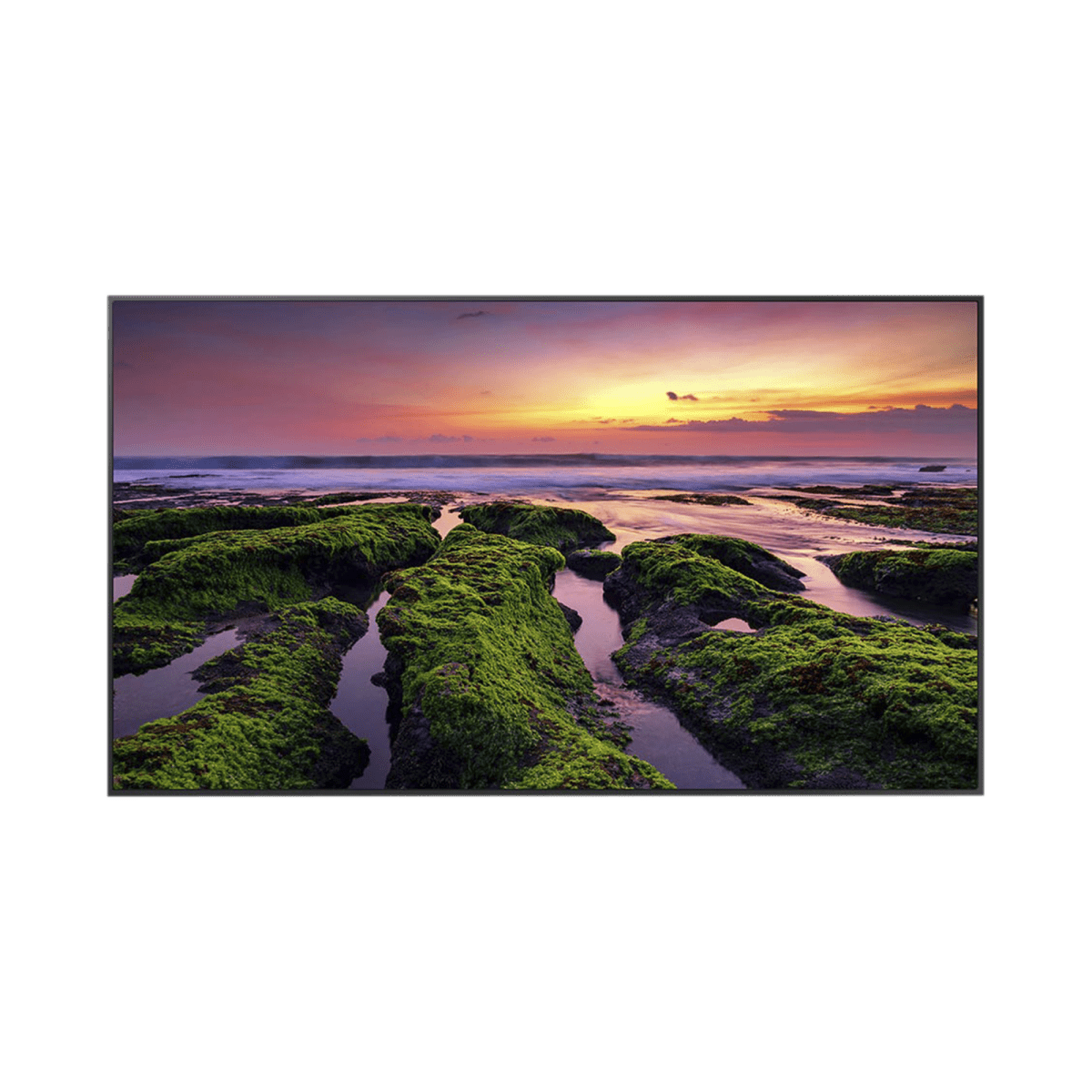 Pantallas MonitoresSAMSUNG ELECTRONICSQB55CPantalla Profesional LED de 55", UHD 4K (3840x2160p), Entradas de Video HDMI, Bocinas Integradas de 10 W. Compatible VESA - SILYMX