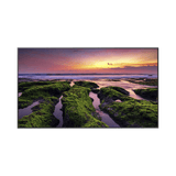 Pantallas MonitoresSAMSUNG ELECTRONICSQB65CPantalla Profesional LED de 65", UHD 4K (3840x2160p) / Entradas de Video HDM / Bocinas Integradas de 10 W. Compatible VESA / compatible con MagicInfo - SILYMX