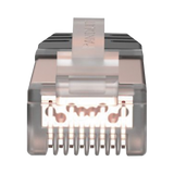 Plug Panduit RJ45 Cat6A Blindado 23-24 AWG Chapado en Oro de 50 micras Paquete de 100 piezas SPS6X88-C - SILYMX
