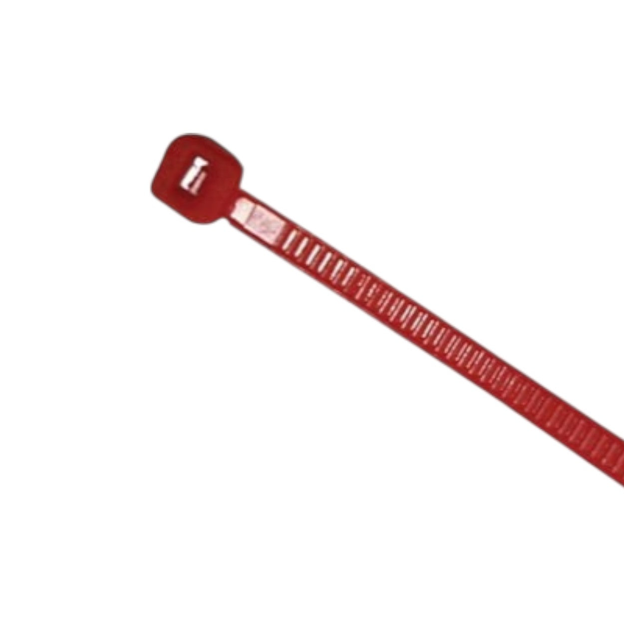 Cincho de nylon color rojo 4.8 x 300mm 100pzs THORSMAN TH-300-R - SILYMX