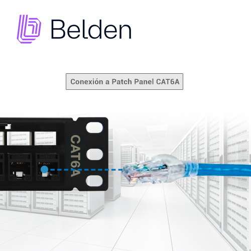Belden Patch Cord Cat 6A UTP 1.2 Metros Azul | CA21106004 - Imagen 4