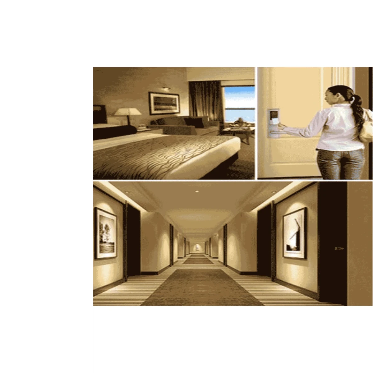 Accesorios Control de Accesos y AsistenciaZKTECOEnergy Saving Switch - AllMódulo Ahorro Energía Hotel 110V 30A Control Tarjeta Óptico ZKTeco Energy Saving Switch All - SILYMX