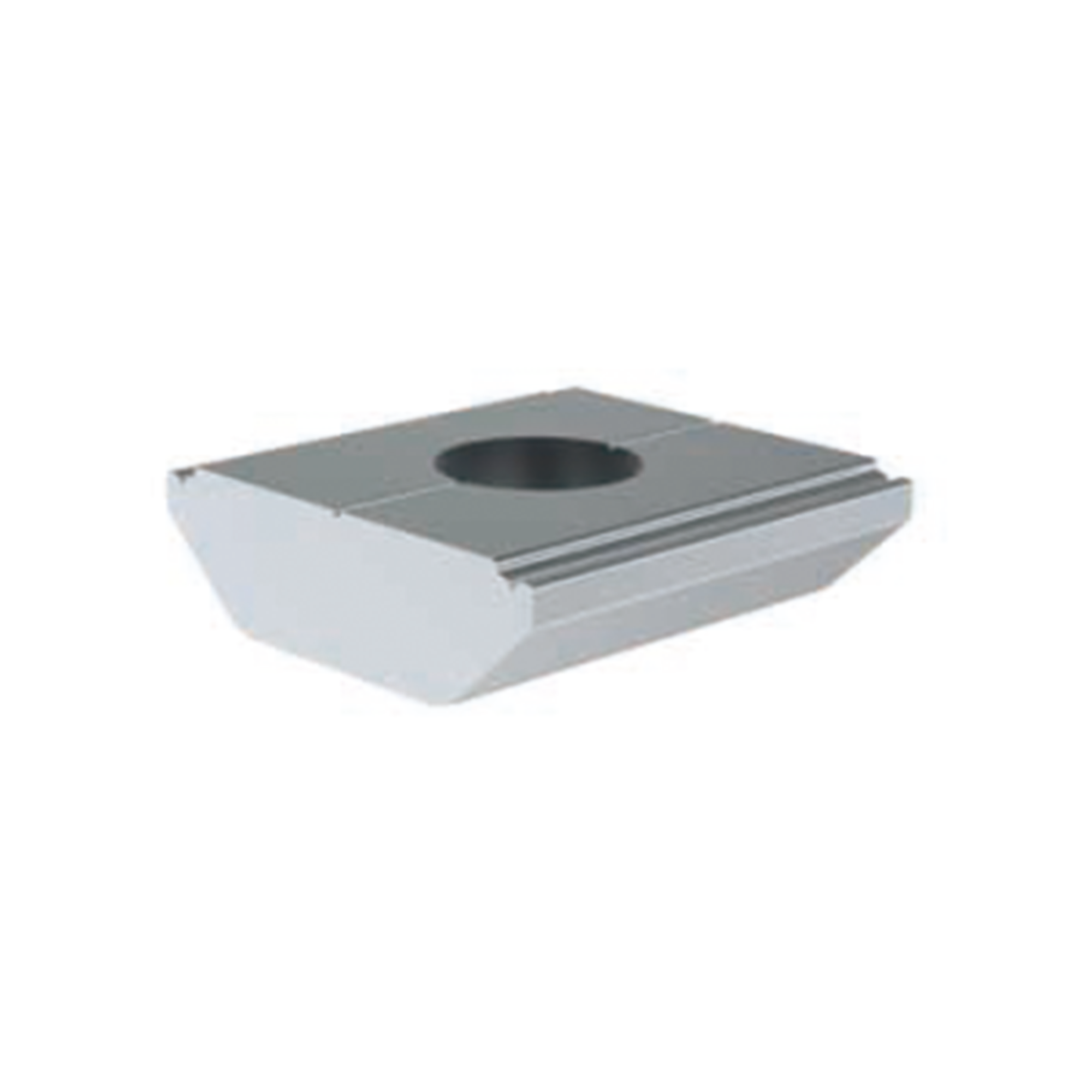 Tuerca Para Tornillo En Riel 5 y 8 EPCOM POWERLINE EPLNM222 - Imagen 1