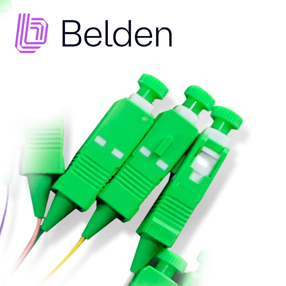 Empalmes Fibra ÓpticaBELDENFTSSB900PR12Pigtail De Terminación De Campo Belden OS2 SC Simplex APC Buffer 900 Um 12 Fibras Codificadas En Color Longitud 2 Metros FTSSB900PR12 - SILYMX