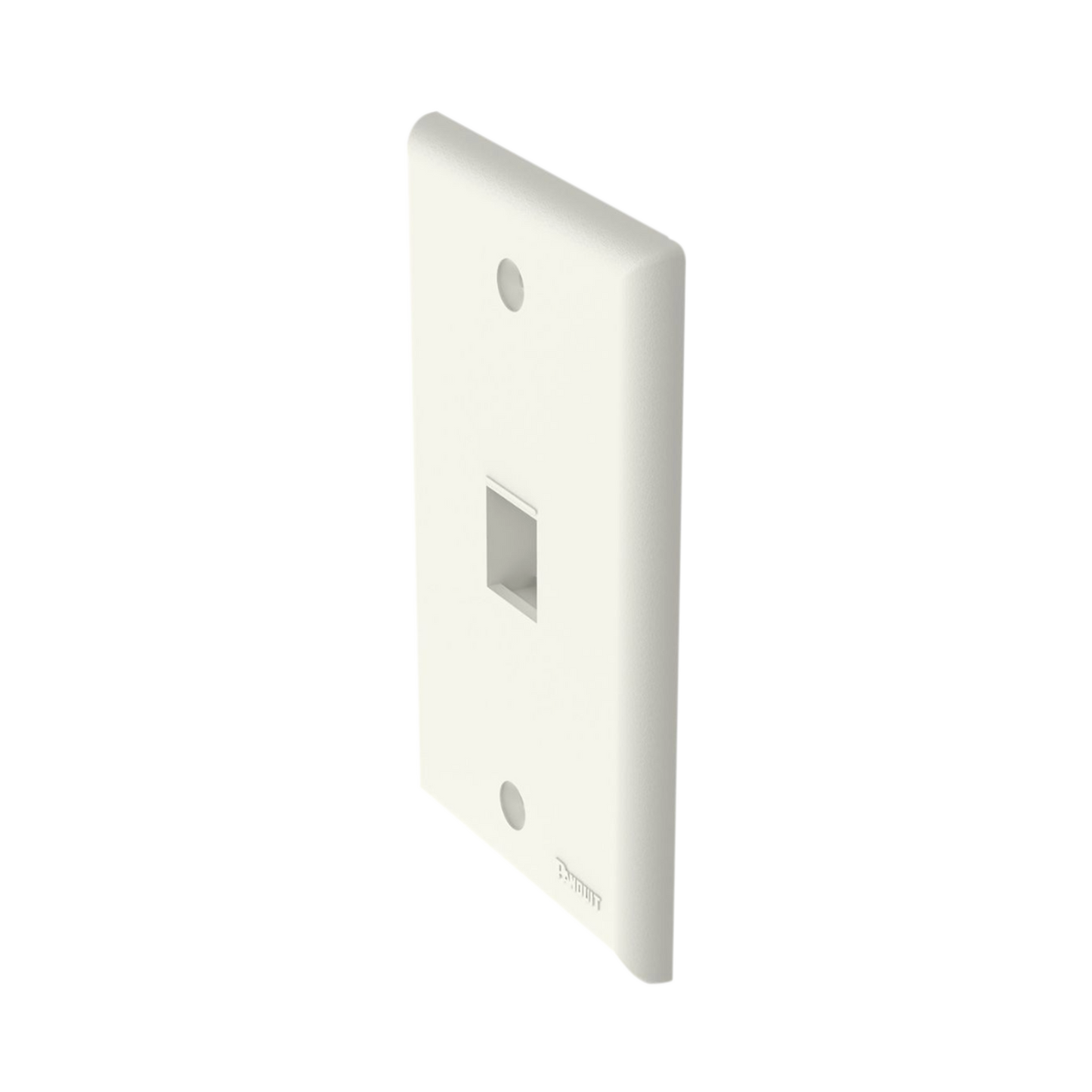 Placa de Pared Vertical Salida Para 1 Puerto Keystone Color Blanco Mate PANDUIT - Imagen 2