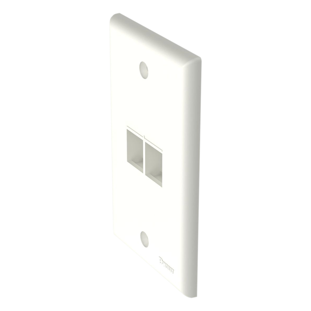 Placa De Pared Clasica 2 Puertos Modulo Keystone Color Blanco Mate PANDUIT - Imagen 2