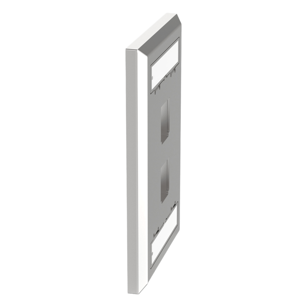 Placa de Pared Vertical Salida Para 2 Puertos Keystone Con Espacios Para Etiquetas de Acero Inoxidable PANDUIT - Imagen 4