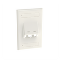 Placa de Pared Vertical / 2 Puertos Mini-Com Inclinados / ABS / 2.75 x 4.5 in / Con Etiquetas / Blanco
