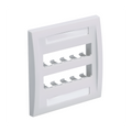 Placa de Pared Vertical / 10 Puertos Mini-Com / Etiquetas con Cubierta / ABS Impacto / Blanco Mate