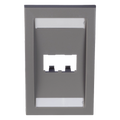 Placa de Pared Vertical / 2 Puertos Mini-Com / Espacios para Etiquetas / 2.75 x 4.5 in / Gris