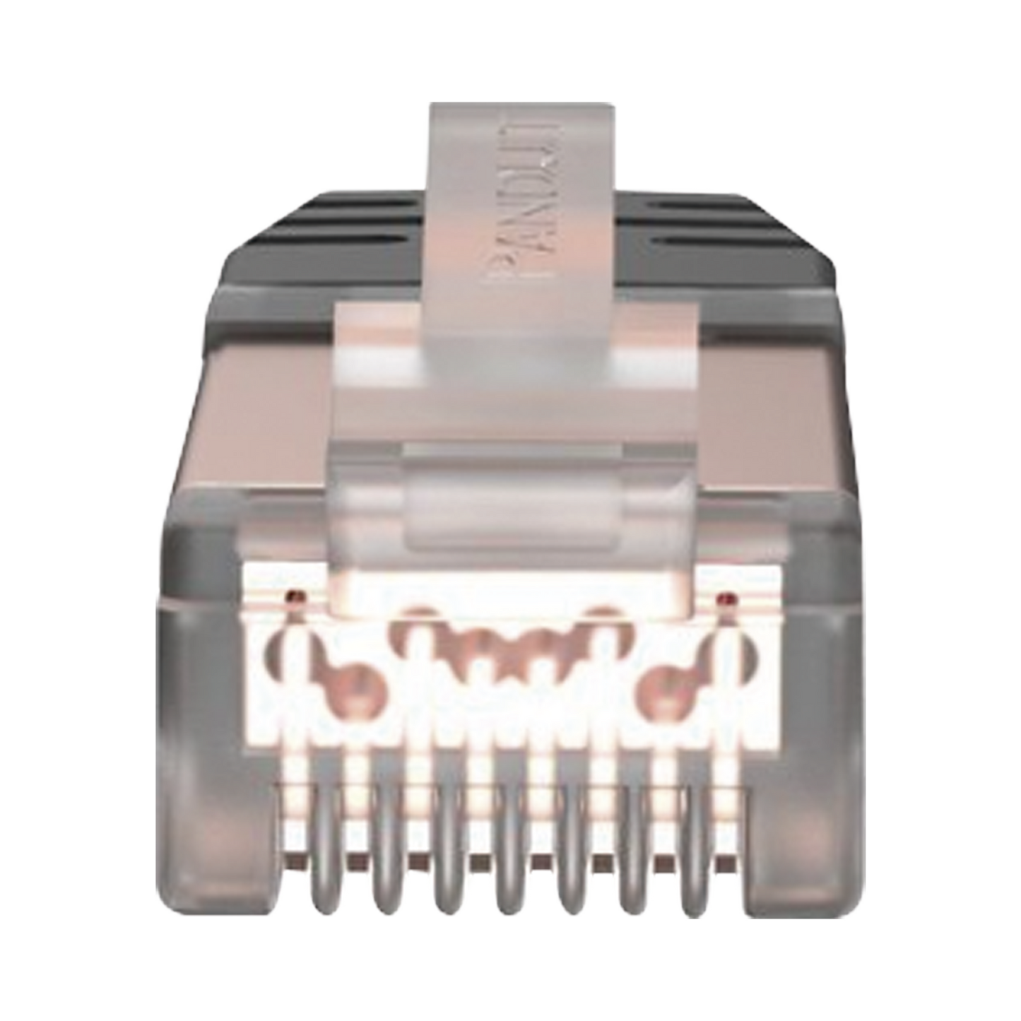 Plug RJ45 Cat6 Blindado Para Cable Calibre 24-26 AWG Chapado en Oro de 50 micras Paquete de 100 piezas PANDUIT - Imagen 3