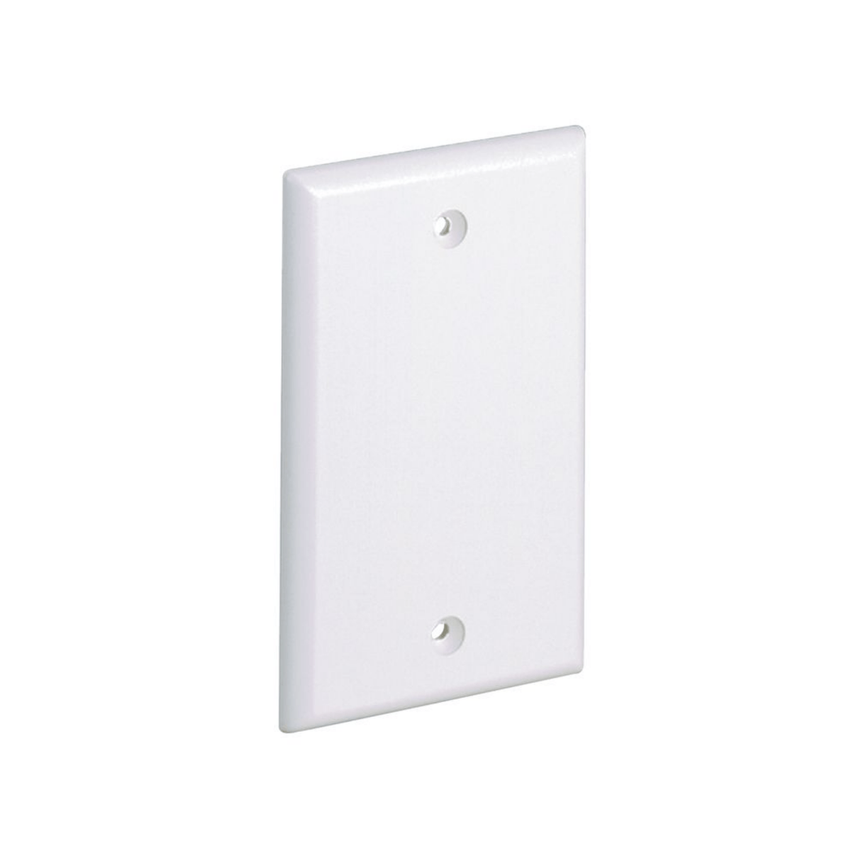 Placa de Pared Ciega Universal PANDUIT Material ABS Color Blanco Mate CPNIW - SILYMX