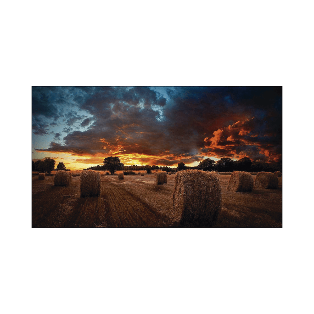 Pantalla Profesional LED de 55" para Video Wall Full HD (1080p) HDMI/DVI-D/DP Bisel Ultra Delgado de 2.3mm VESA VM55BU - SILYMX