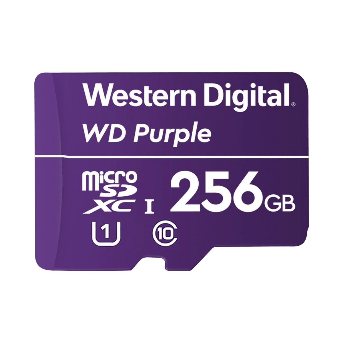 Memoria microSD de 256 GB PURPLE, Especializada Para Videovigilancia, 10 VECES MAYOR DURACIÓN, 3 AÑOS DE GARANTIA - SILYMX